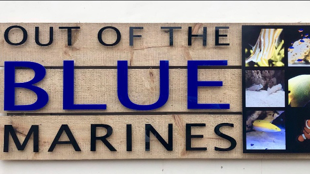 Reviews of Out Of The Blue Marines in Manchester - Cell phone store
