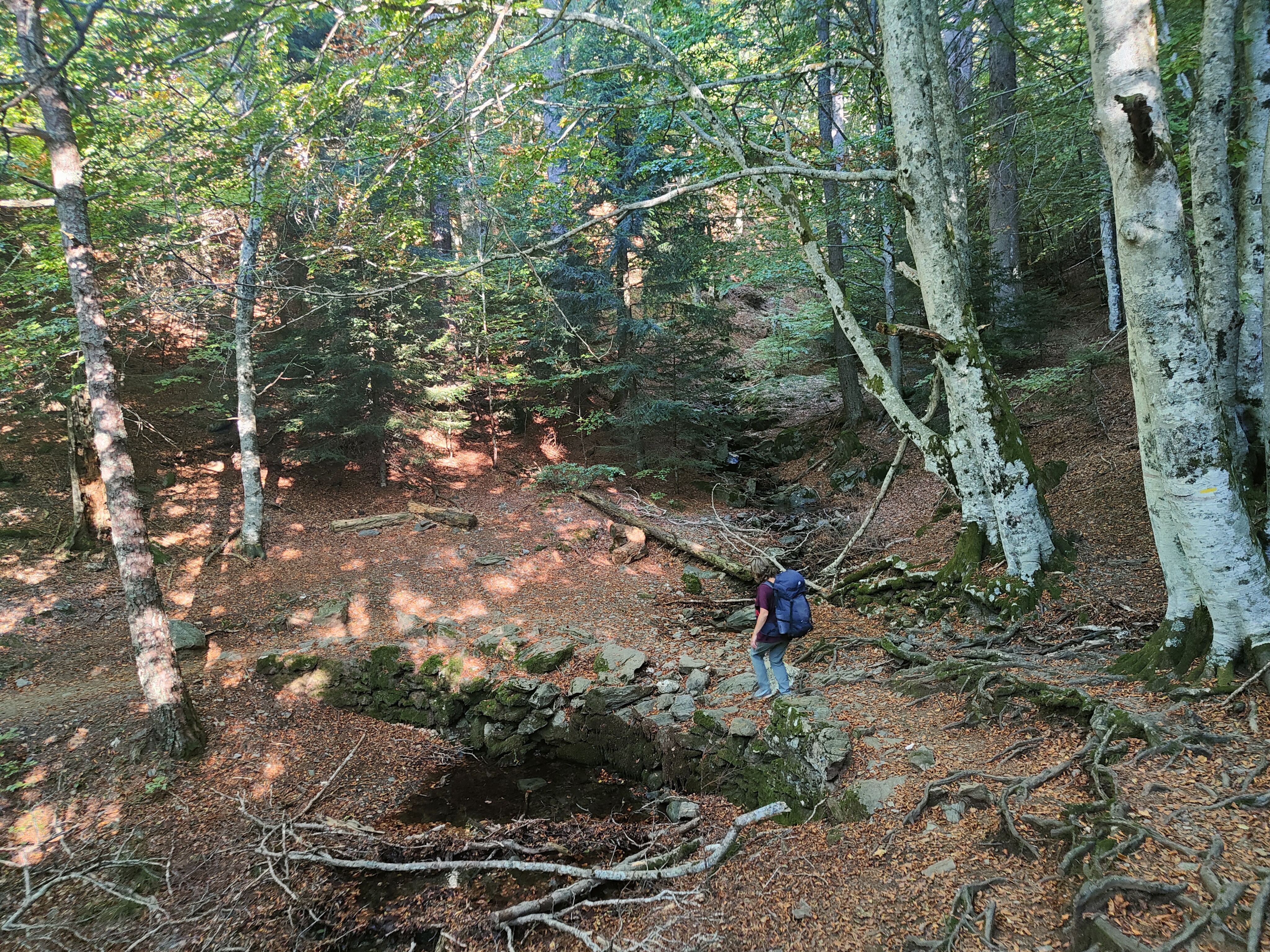 Photo n° 2 de l'avis de Lalague.e fait le 08/10/2023 à 14:00