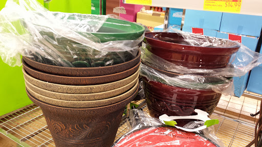 Supermarket «ALDI», reviews and photos, 30960 Lakeshore Blvd, Willowick, OH 44095, USA