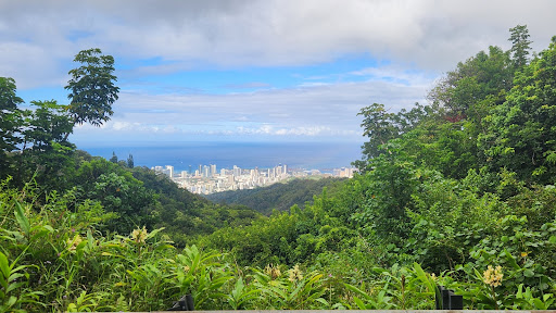Pu’u Ohia Trailhead