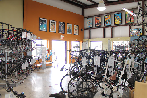 Bicycle Store «Pedal Power Bicycles», reviews and photos, 2617 S Interstate Hwy 35, San Marcos, TX 78666, USA