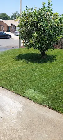 Vicente Gardening Service - Car repair in Riverside, CA, Riverside - Rated 0.0/5