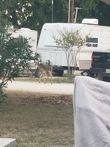 RV Park «Hidden Valley RV Park», reviews and photos, 5706 Coleman Way, Von Ormy, TX 78073, USA