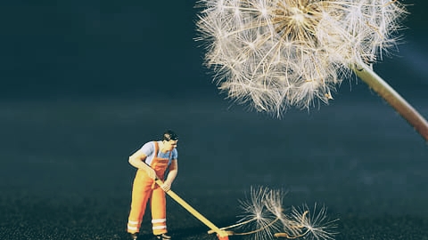 DASER Servicios Integrales Madrid S.L. en Campo Real, Madrid