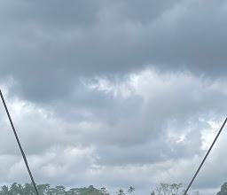 Bali Swing photo