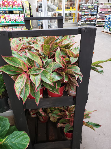 Home Improvement Store «The Home Depot», reviews and photos, 14001 E Mississippi Ave, Aurora, CO 80012, USA