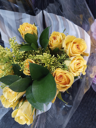 Grocery Store «H-E-B Grocery», reviews and photos, 209 N Texas Ave, Mercedes, TX 78570, USA