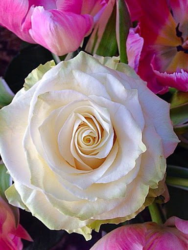 Florist «Hearts & Flowers Floral Design», reviews and photos, 4960 William Flynn Hwy # 20, Allison Park, PA 15101, USA