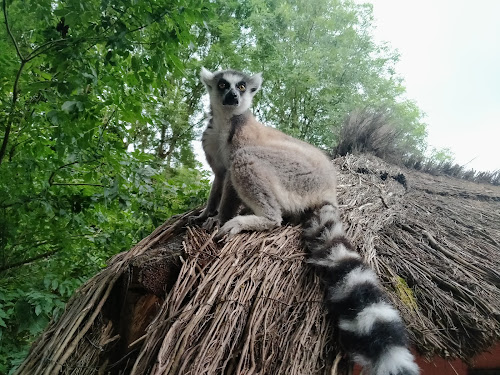 Parc de l Auxois à Arnay-Sous-Vitteaux