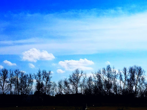 Park «California Crossing Park», reviews and photos, 5198 Riverside Dr, Irving, TX 75039, USA