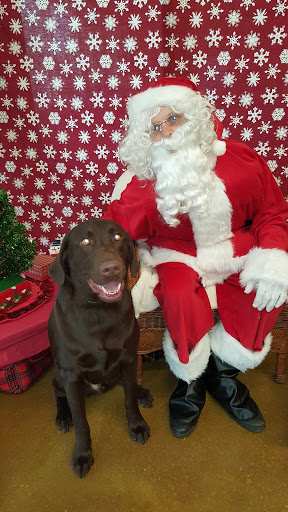 Pet Supply Store «PetSmart», reviews and photos, 320 W Town Square Way, Oak Creek, WI 53154, USA