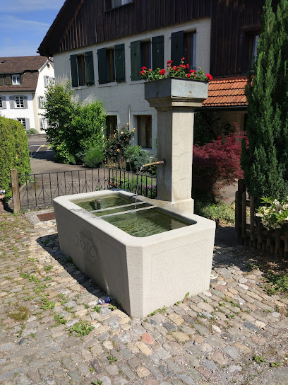 fountain wieshofstrasse 25