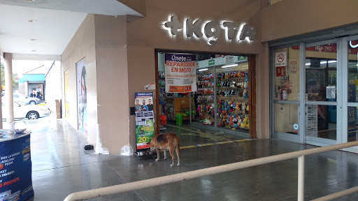 Dog training classes Monterrey