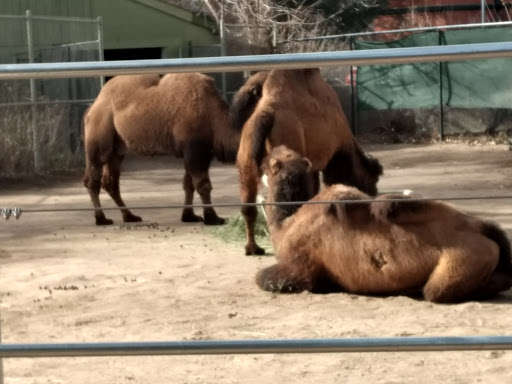 Zoo «Monkey Island», reviews and photos, 8 E 23rd Ave, Denver, CO 80205, USA