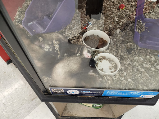 Pet Supply Store «Petco Animal Supplies», reviews and photos, 2621 MacArthur Rd, Whitehall, PA 18052, USA