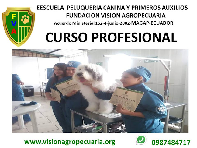 Escuela De Peluquería Canina Fundación Visión Agropecuaria - Sangolqui