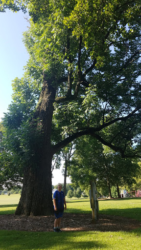 Hotel «Grand Victorian Inn», reviews and photos, 5 Old Dixie Hwy, Park City, KY 42160, USA