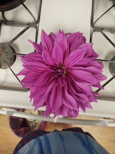 Florist «W/E Flowers», reviews and photos, 352 N State St, Ukiah, CA 95482, USA