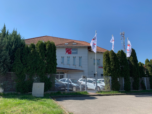 Kaméleon Hungary Kft.