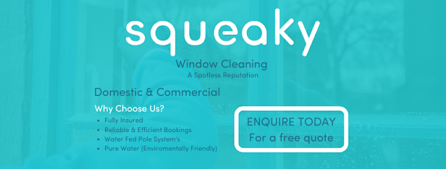 Reviews of Squeaky Cleaning in Birmingham - House cleaning service