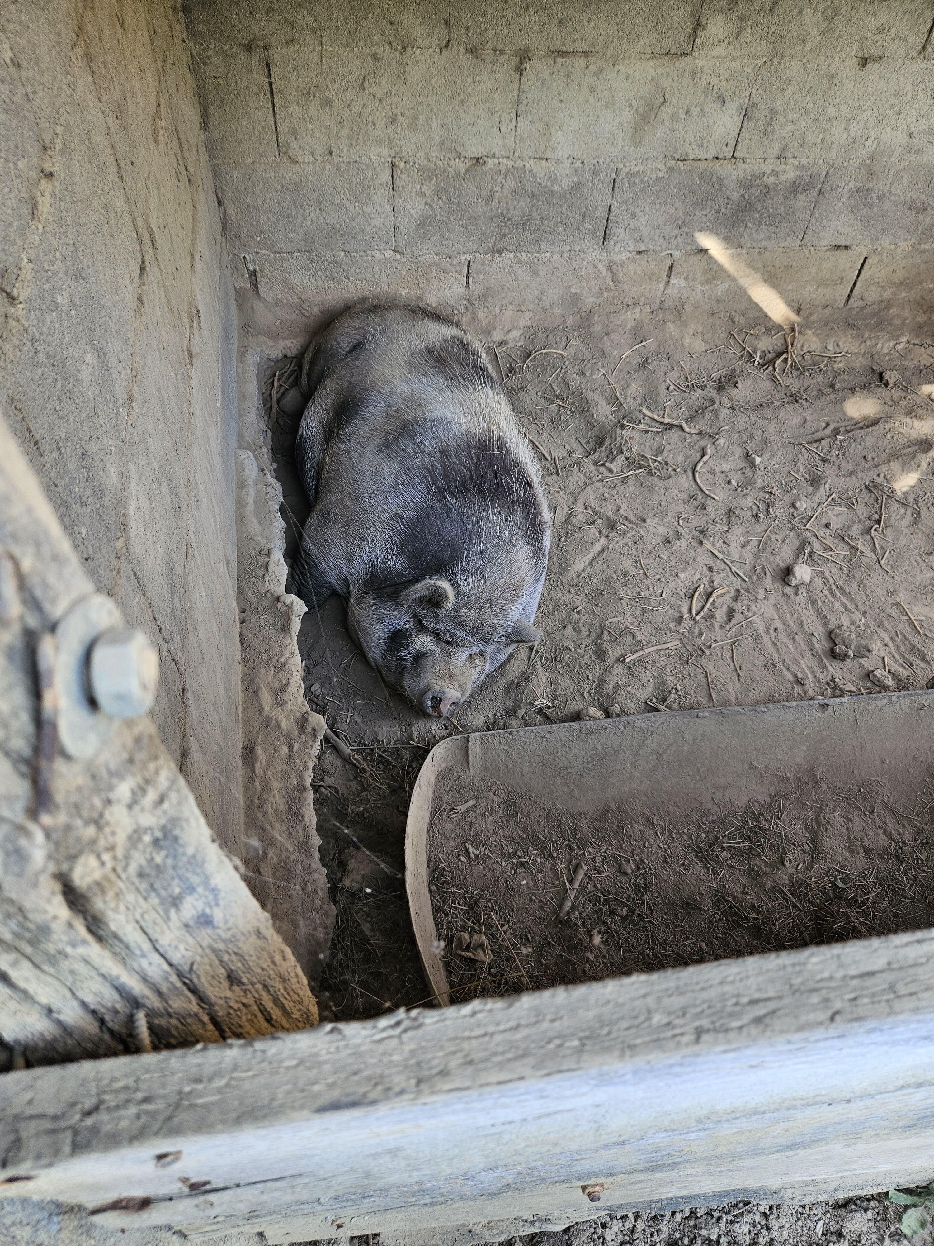 Photo n° 9 de l'avis de Emmanuelle.a fait le 22/09/2023 à 14:59