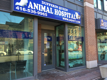 Dufferin Queen Animal Hospital