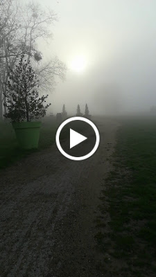 Bois de Garges à Garges-lès-Gonesse