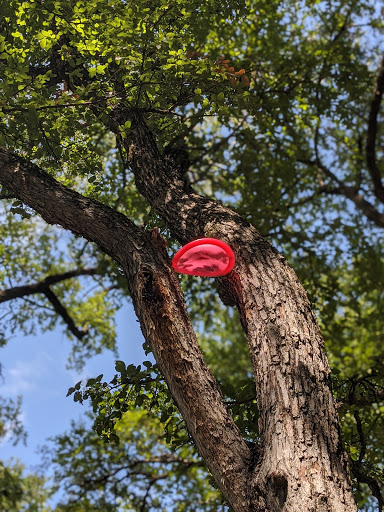 Disc Golf Course «Lester Lorch Park - Beaver Disc Golf Course», reviews and photos, 1823 Texas Plume Rd, Cedar Hill, TX 75104, USA