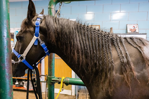 Oakdale Large Animal Clinic