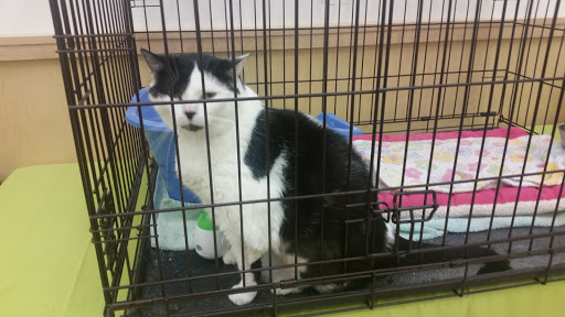 Pet Supply Store «Pet Supplies Plus», reviews and photos, 311 Sagamore Pkwy N, Lafayette, IN 47904, USA