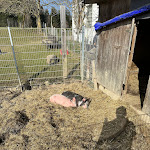 Photo n°1 de l'avis de Gin.o fait le 12/04/2023 à 11:45 sur le  Kinderhotel Simmerl à Sankt Englmar