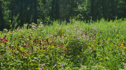 Nature Preserve «Wilma Quinlan Nature Preserve», reviews and photos, Mathews Ave, New Britain, PA 18901, USA