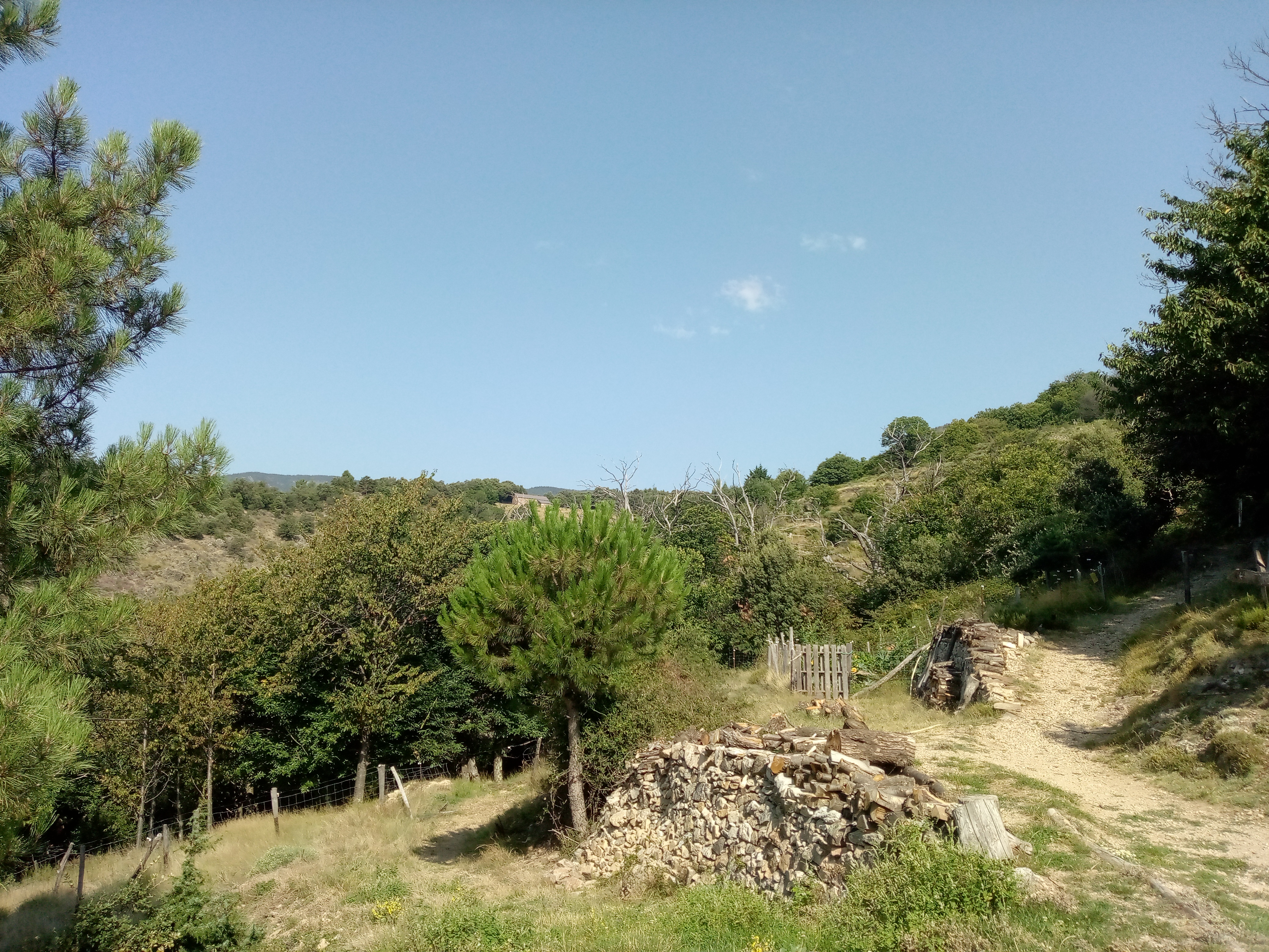 Photo n° 7 de l'avis de Dalia.E fait le 14/08/2021 à 17:40