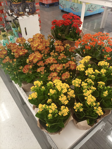 Department Store «Target», reviews and photos, 1300 University Ave W, St Paul, MN 55104, USA