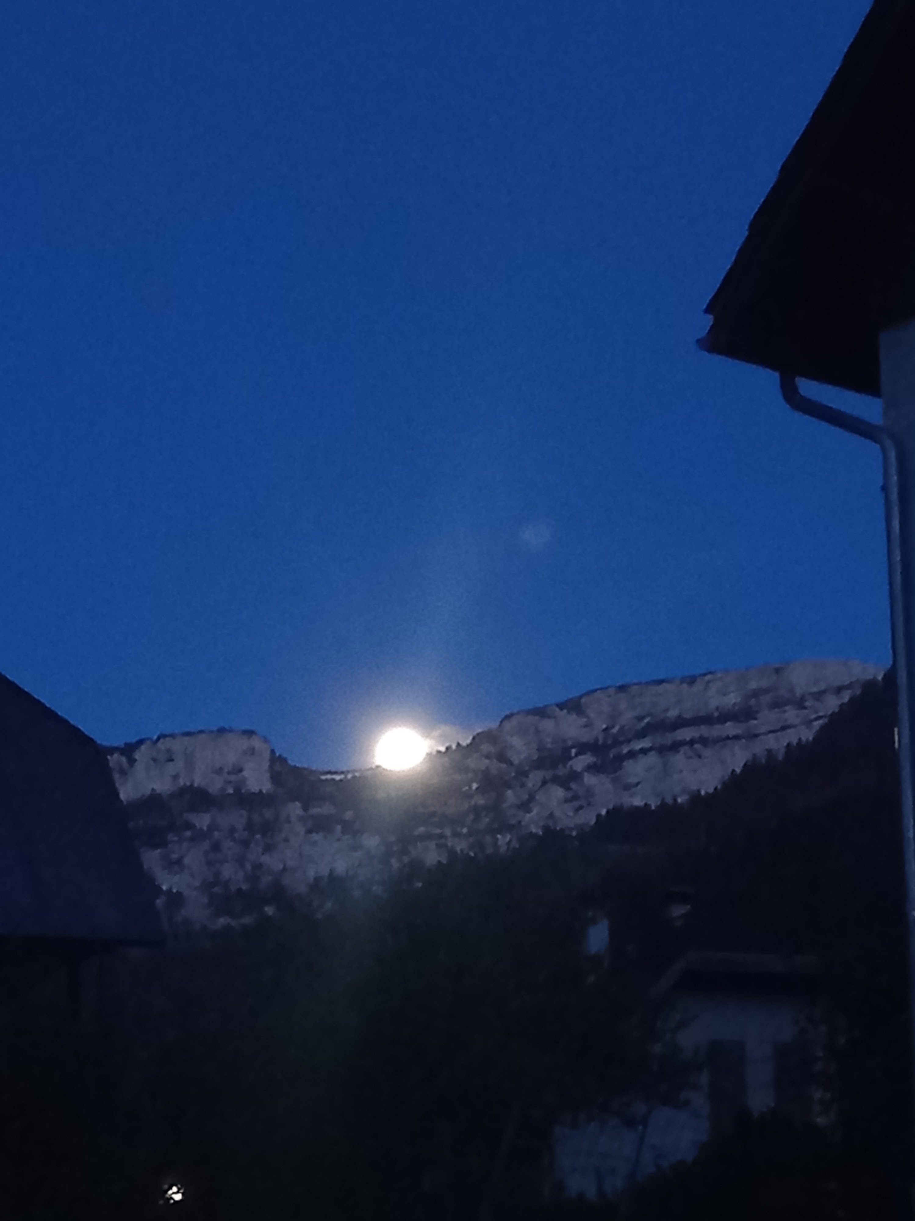 Photo n° 4 de l'avis de OrAile. fait le 27/08/2021 à 16:18
