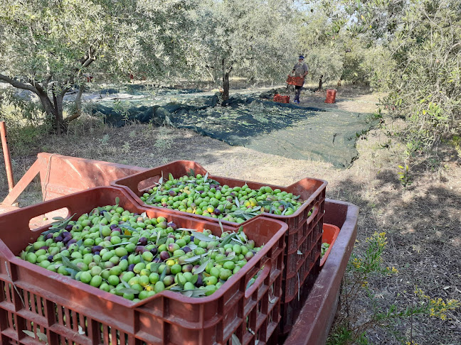 Νίκης 79a, Νέα Πέραμος 640 07