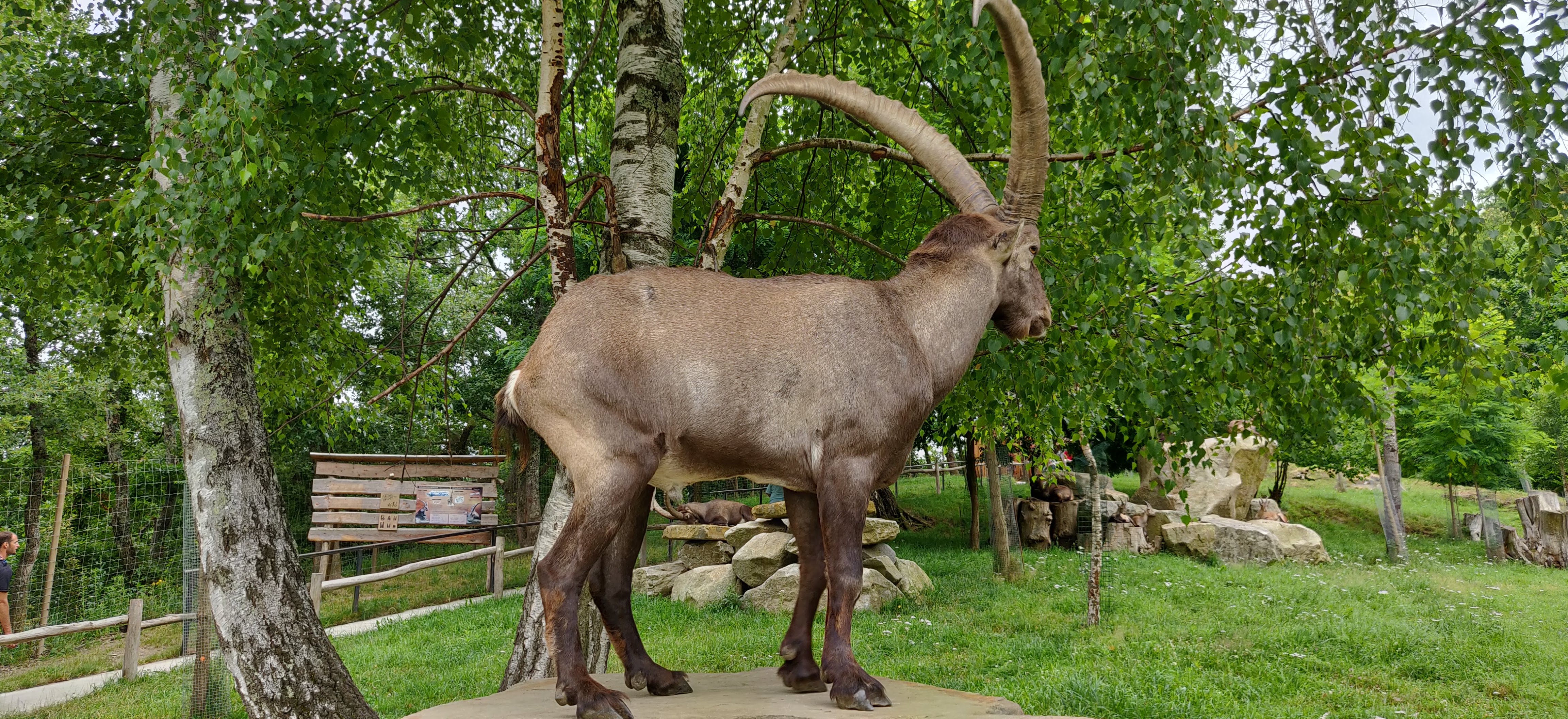 Photo n° 34 de l'avis de Frédéric.o fait le 15/11/2022 à 09:50