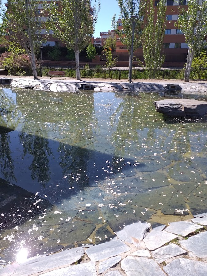 Parque Jardín de la Vega