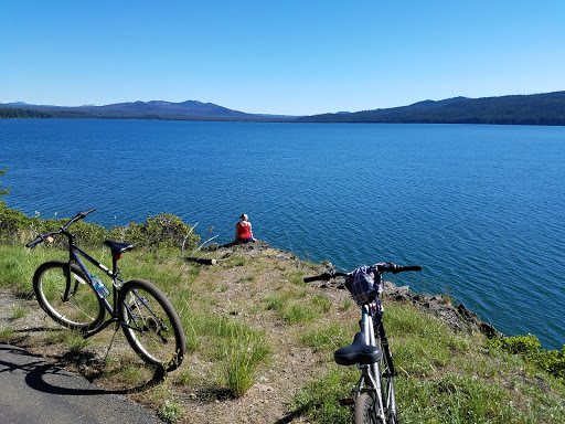 National Forest «Umpqua National Forest», reviews and photos, 1121 Houser Ct, Idleyld Park, OR 97447, USA