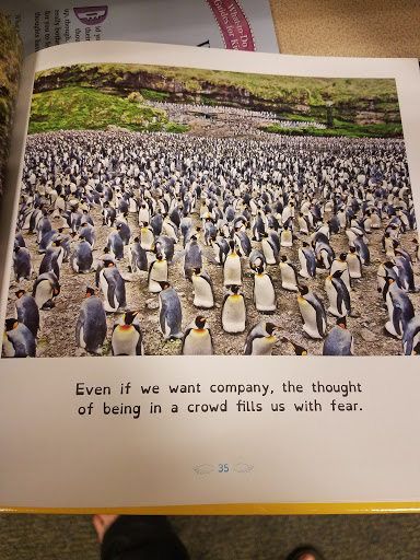 Book Store «Barnes & Noble», reviews and photos, 620 Marketplace Dr, Bel Air, MD 21014, USA