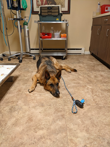 4010 Londonderry Rd, Harrisburg, PA 17109, USA