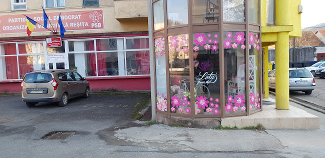 Lotus Flower Shop