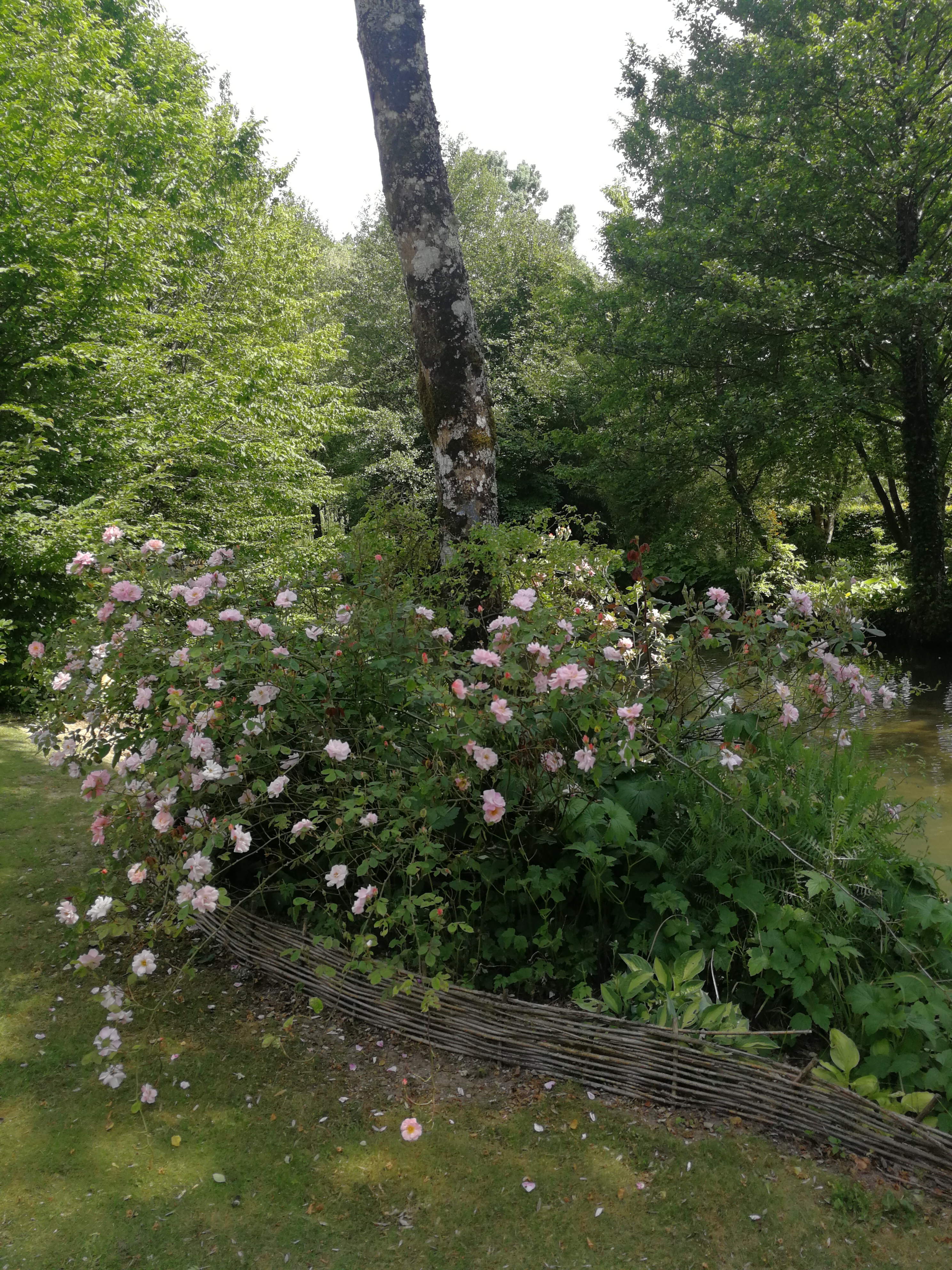 Photo n° 24 de l'avis de nathalie.o fait le 12/06/2019 à 03:54