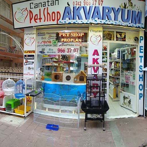 Canatan Petshop Akvaryum