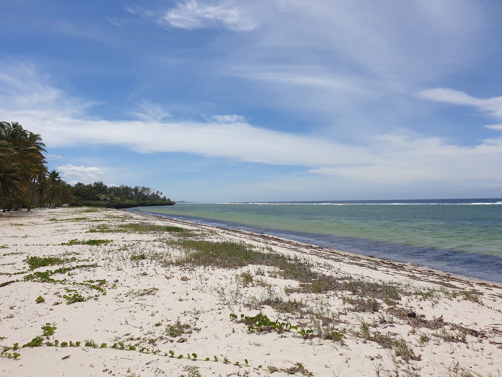 Photo of Twiga Lodge Beach with long straight shore