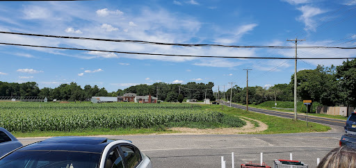 Produce Market «Stella Farms», reviews and photos, 459 Berlin New Freedom Rd, Berlin, NJ 08009, USA