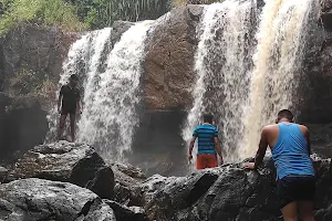 Tamashacha khadak waterfall image