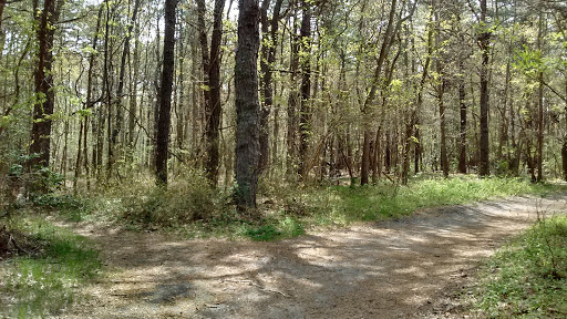 Nature Preserve «Edwin B. Forsythe National Wildlife Refuge- deCamp Wildlife Trail», reviews and photos, 365 Mantoloking Rd, Brick, NJ 08723, USA