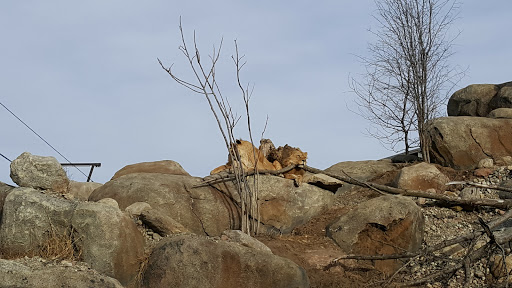 Foundation «The Henry Doorly Zoo», reviews and photos, 3701 S 10th St, Omaha, NE 68107, USA