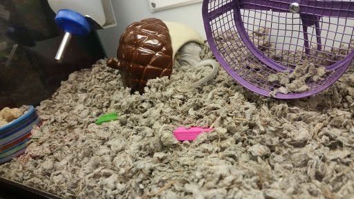 Pet Supply Store «Petco Animal Supplies», reviews and photos, 16434 N Marketplace Blvd, Nampa, ID 83651, USA